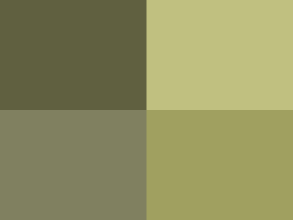 bg image