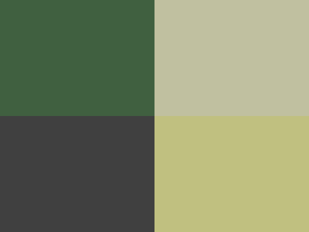 bg image